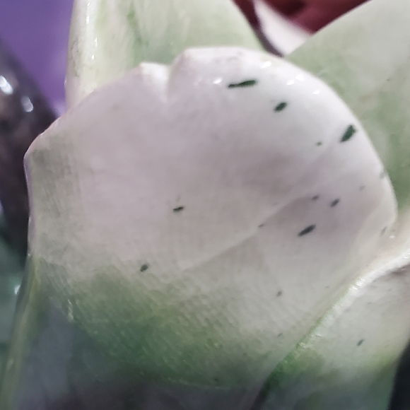 Vintage Set of Capodimonte Candlestick Holders - Picture 10 of 11